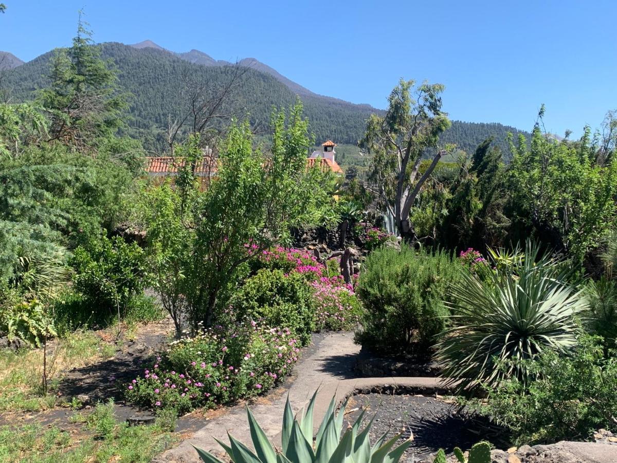 Casa Piedras Blancas With Private Garden Villa El Paso Exteriör bild